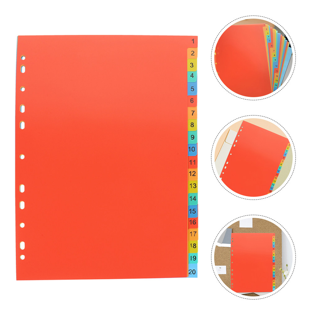 2 Sets Kunststoff-Registerblät – Tab Divider A4 Bewertung und Preis