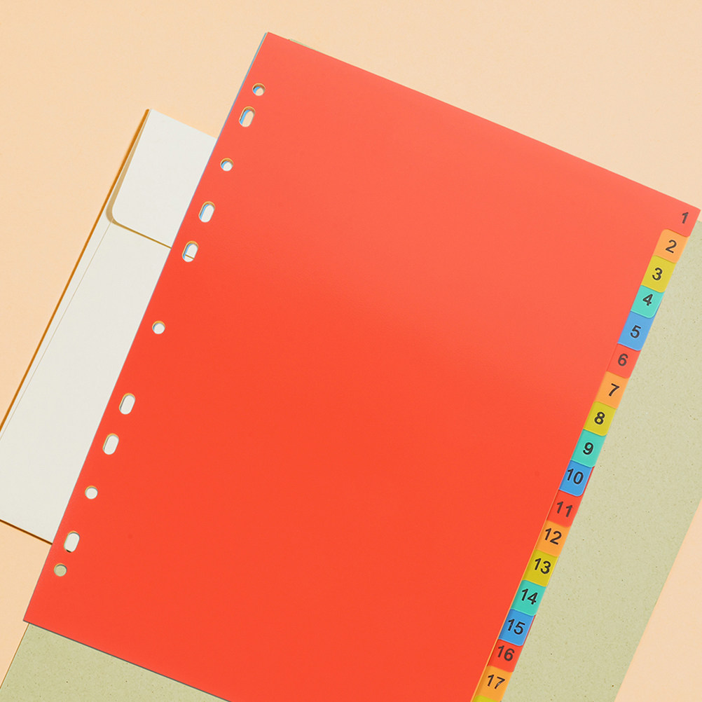 2 Sets Kunststoff-Registerblät – Tab Divider A4 Bewertung und Preis