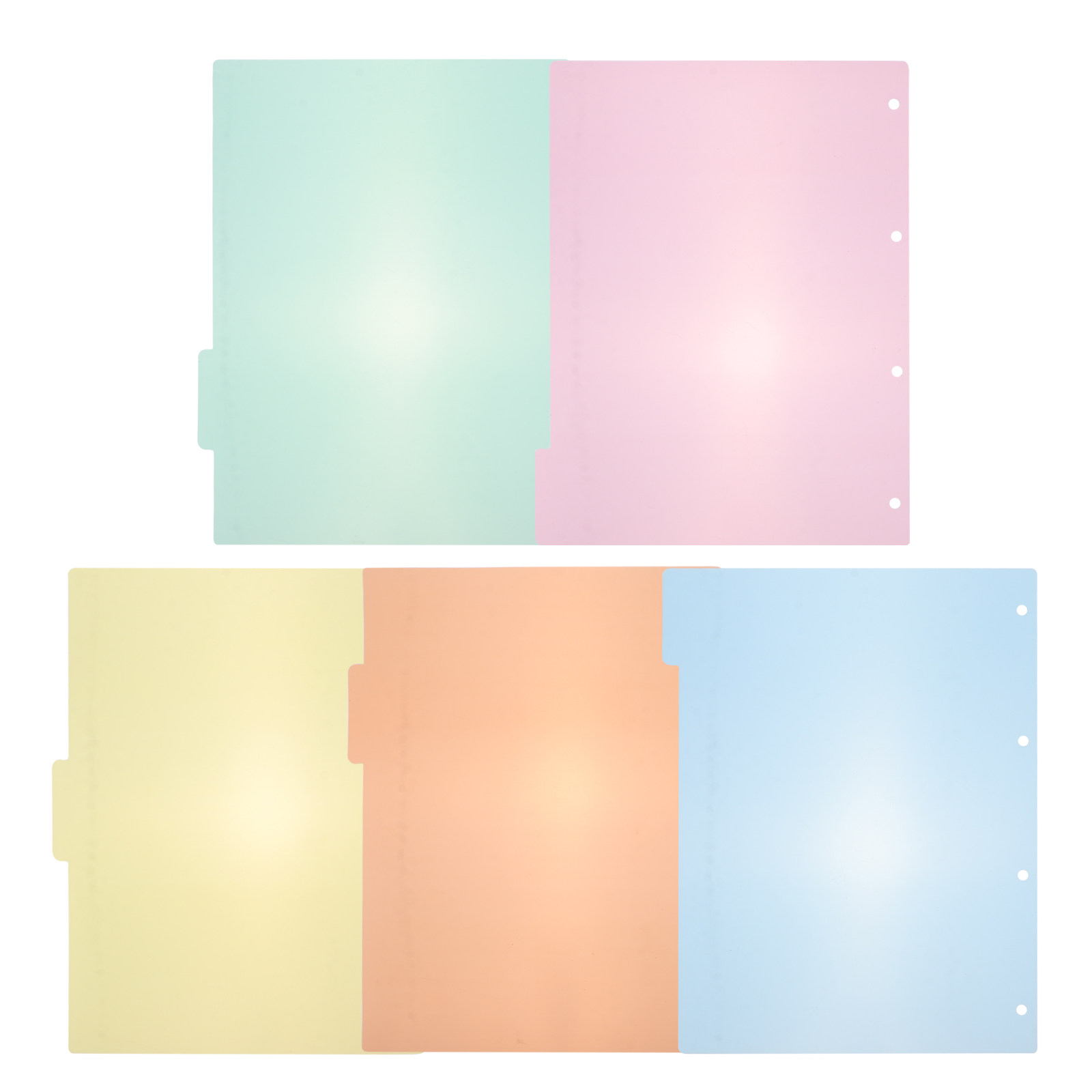 10 Stück professionelle Kunsts – Tab Divider A4 Bewertung und Preis