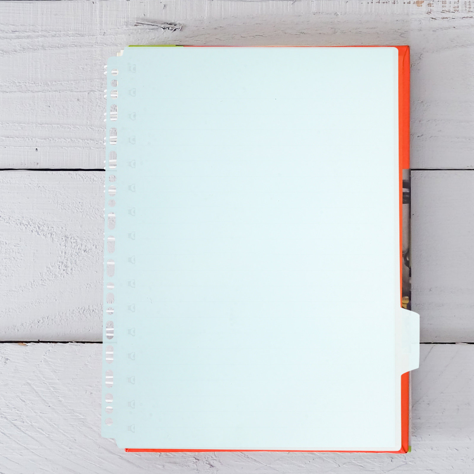 6 Stück Registerblätter für Ri – Tab Divider A4 Bewertung und Preis